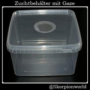 Bild 1 von Zuchtbehälter quadrat mittel mit Gaze im Deckel  3,1 L
