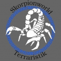Skorpion-Starterset-Deluxe ( Wüste )